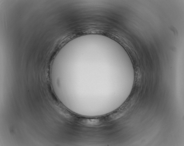X0000112170361200908071004