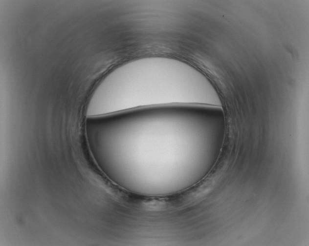 X0000112170362200908071004