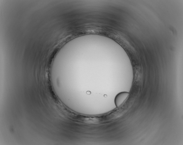 X0000112170363200908071004