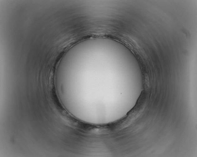 X0000112170364200908071004