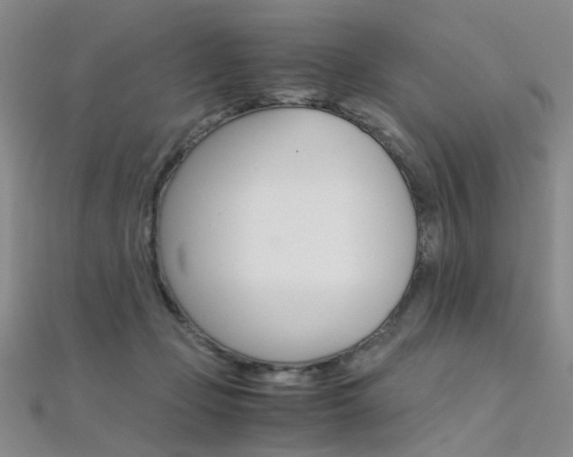 X0000112170365200908071004