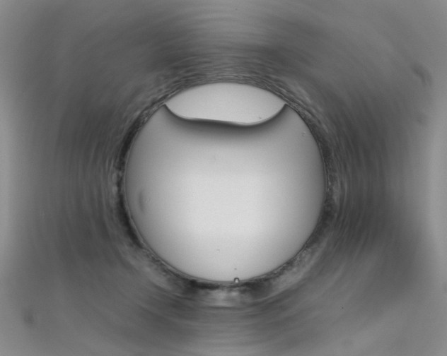 X0000112170366200908071004