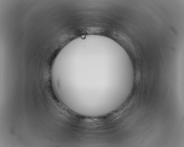 X0000112170367200908071004