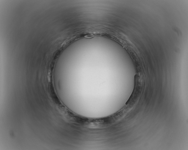 X0000112170368200908071004