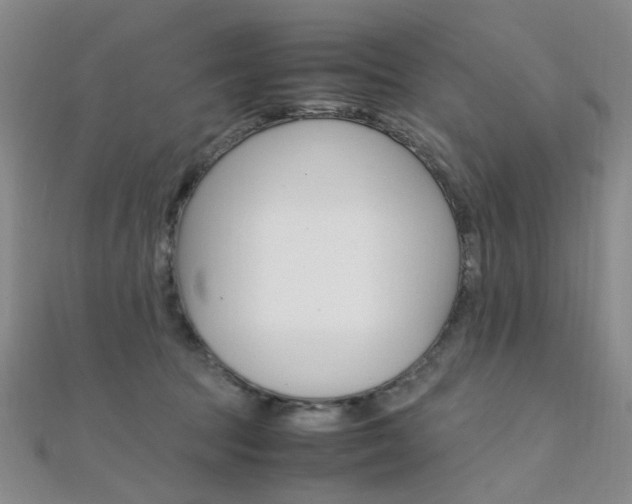 X0000112170369200908071004