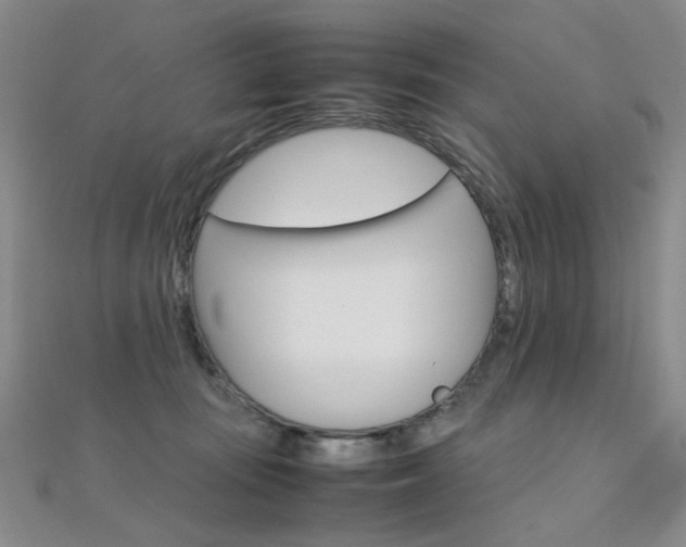 X0000112170371200908071004