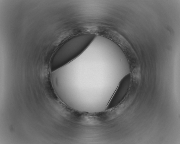 X0000112170372200908071004