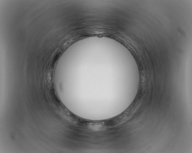 X0000112170373200908071004