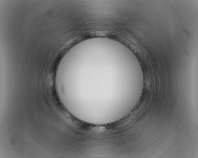X0000112170374200908071004