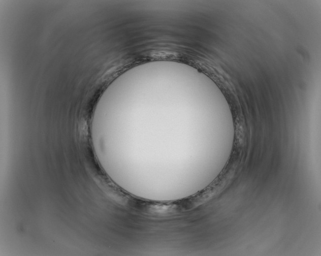 X0000112170375200908071004