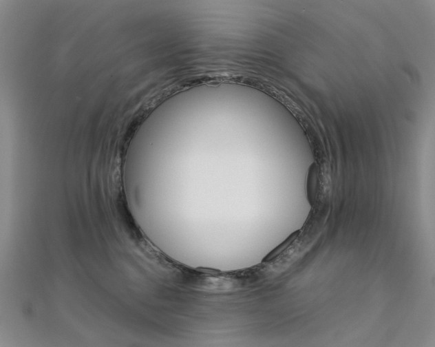 X0000112170376200908071004