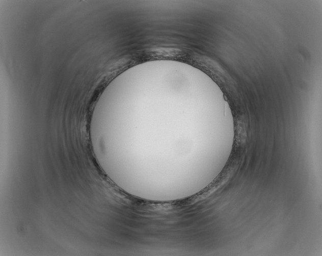 X0000112170377200908071004