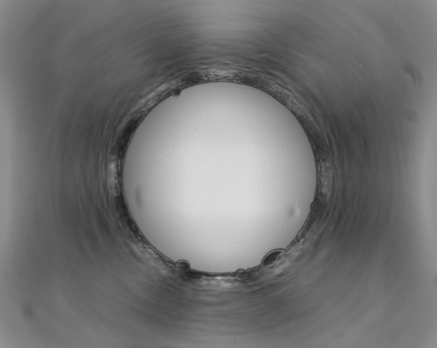 X0000112170378200908071004