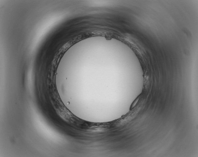 X0000112170381200908071004