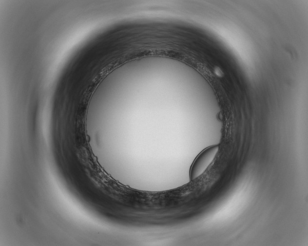X0000112170383200908071004