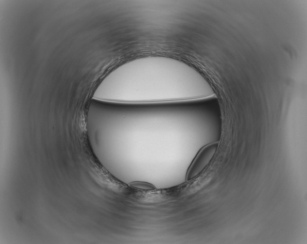 X0000112170384200908071004