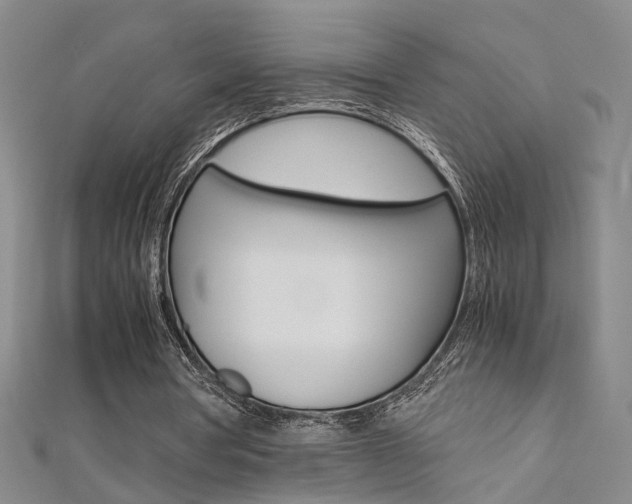 X0000112170386200908071004