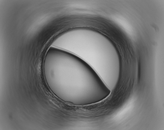 X0000112170387200908071004