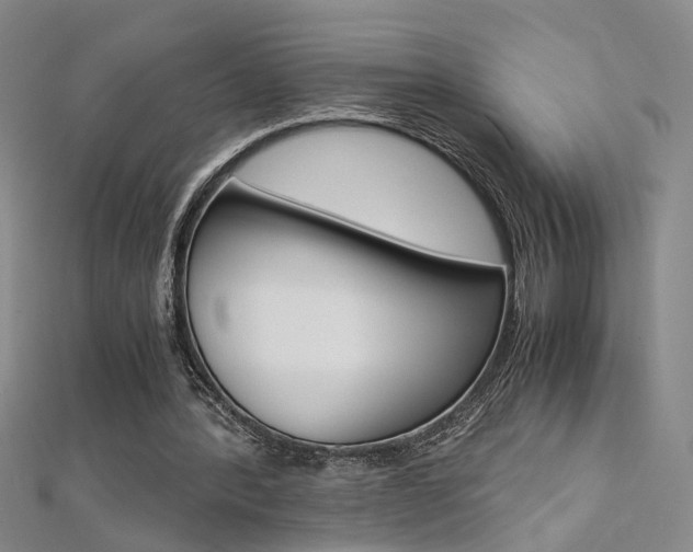 X0000112170388200908071004