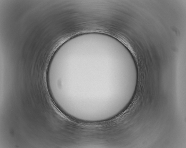 X0000112170389200908071004