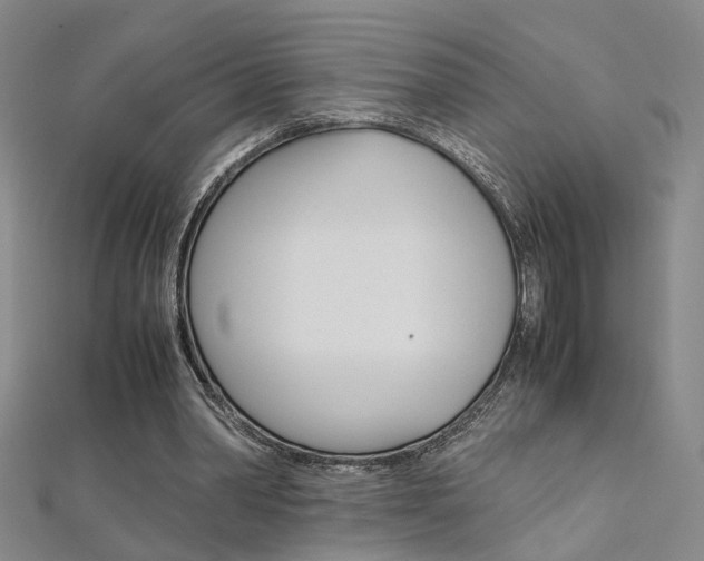 X0000112170390200908071004