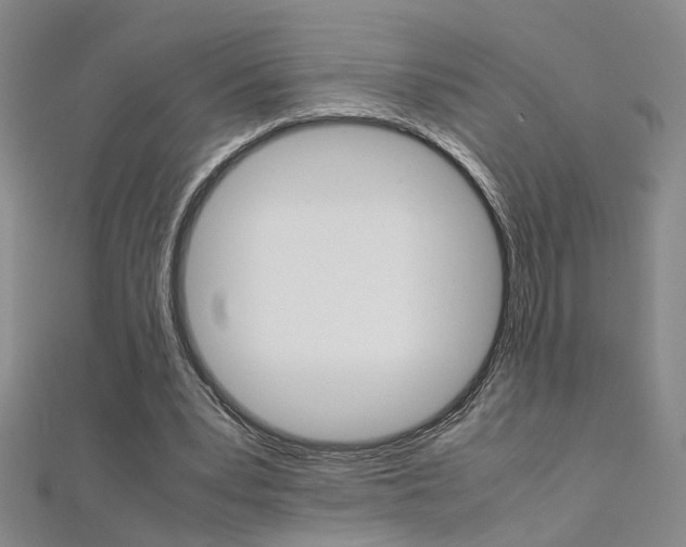 X0000112170391200908071004