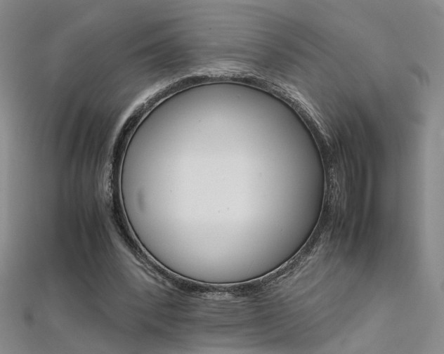 X0000112170392200908071004