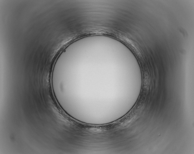 X0000112170394200908071004