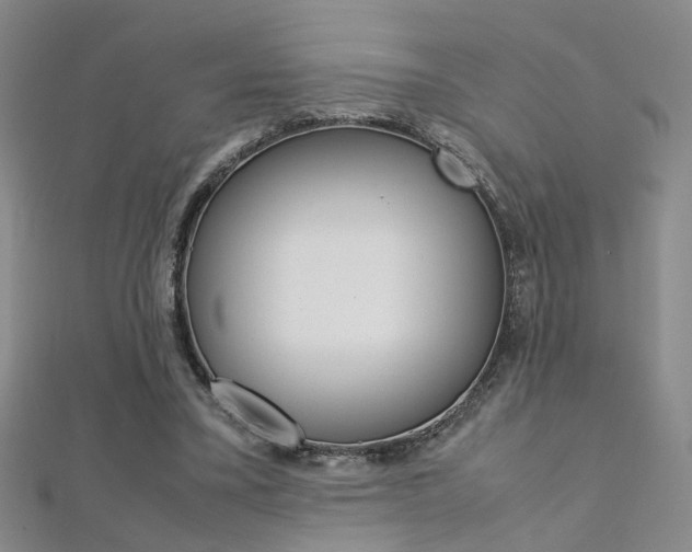 X0000112170395200908071004
