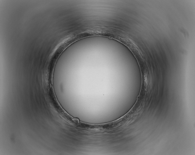 X0000112170396200908071004