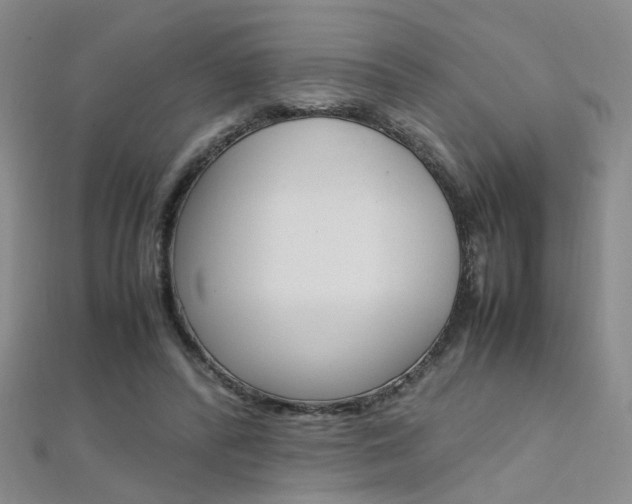 X0000112170400200908071004