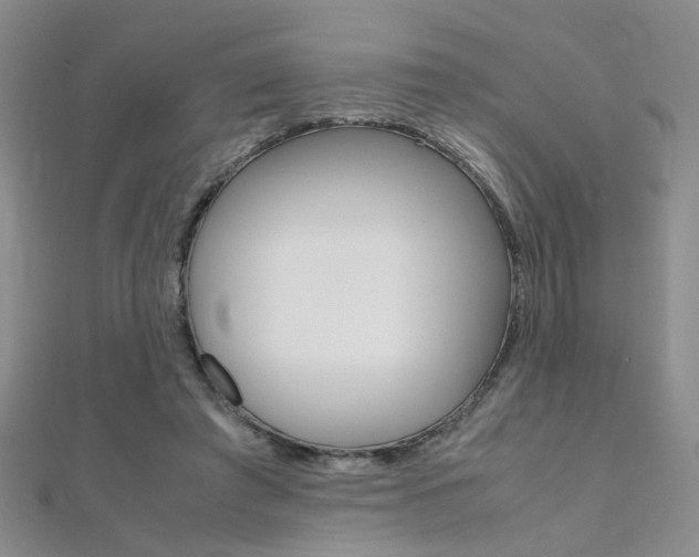 X0000112170401200908071004