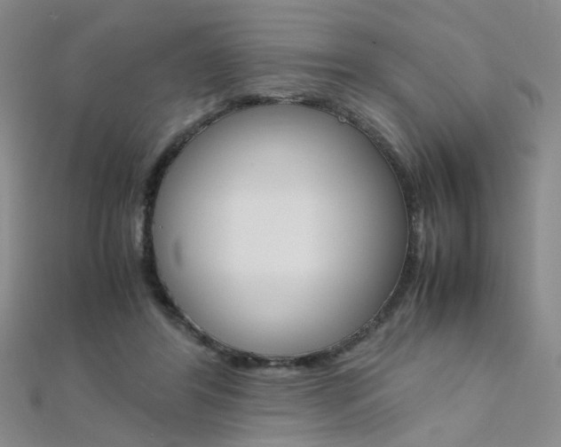 X0000112170404200908071004