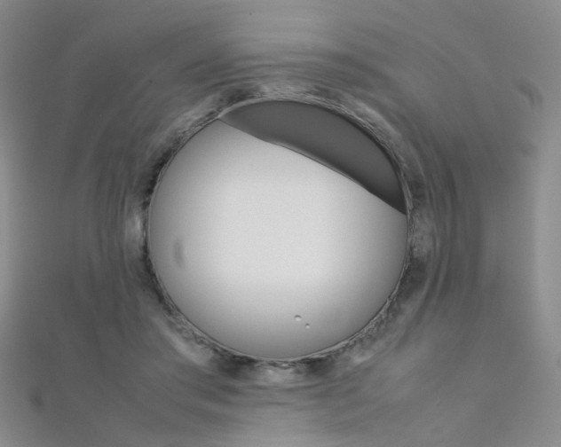 X0000112170405200908071003
