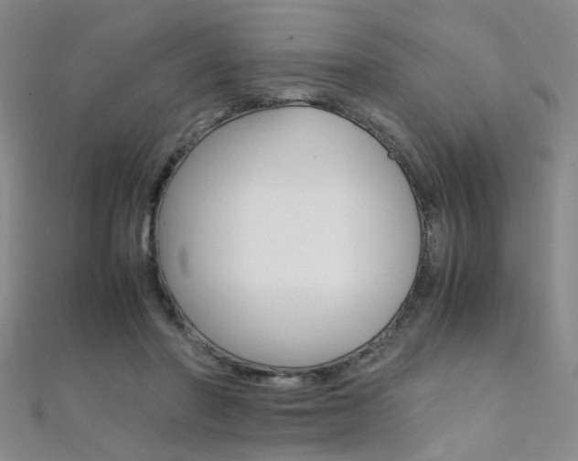 X0000112170406200908071003