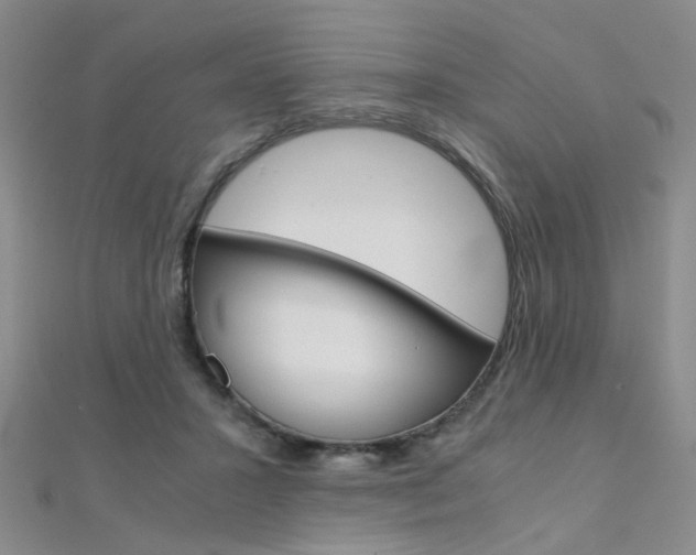 X0000112170407200908071003