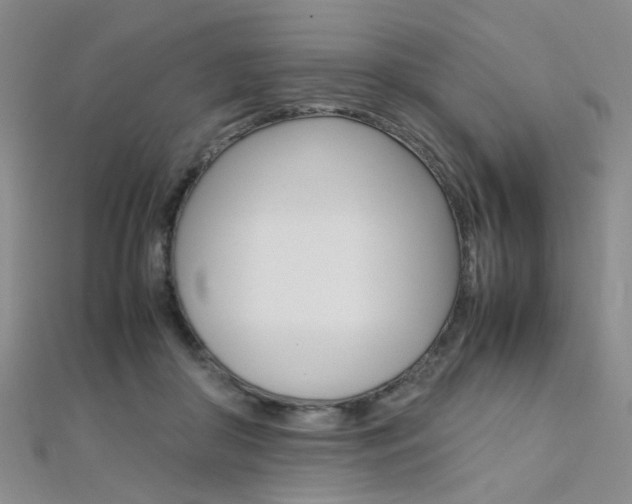 X0000112170410200908071003