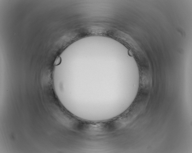 X0000112170411200908071003