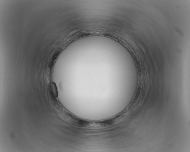 X0000112170413200908071003