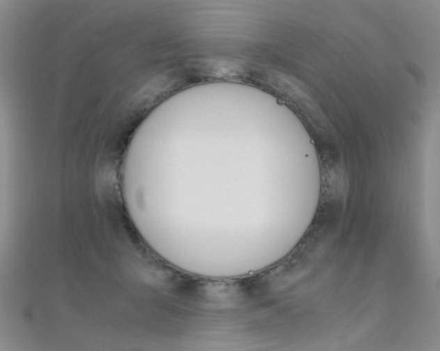 X0000112170415200908071003