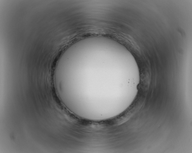 X0000112170416200908071003