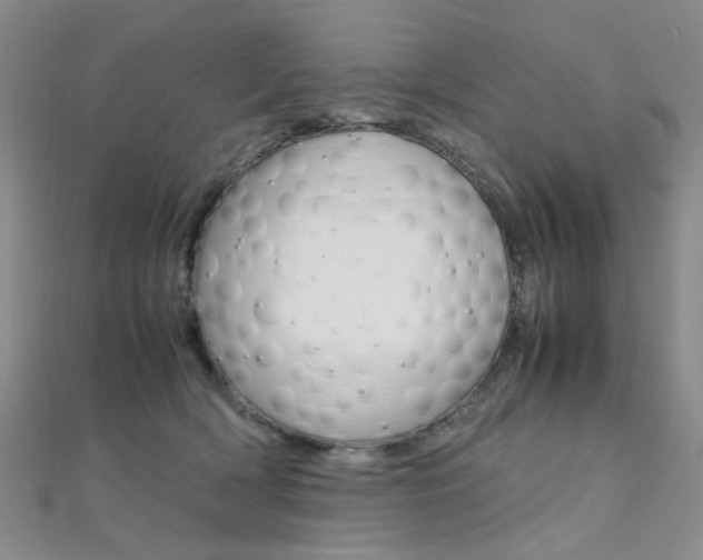 X0000112170418200908071003