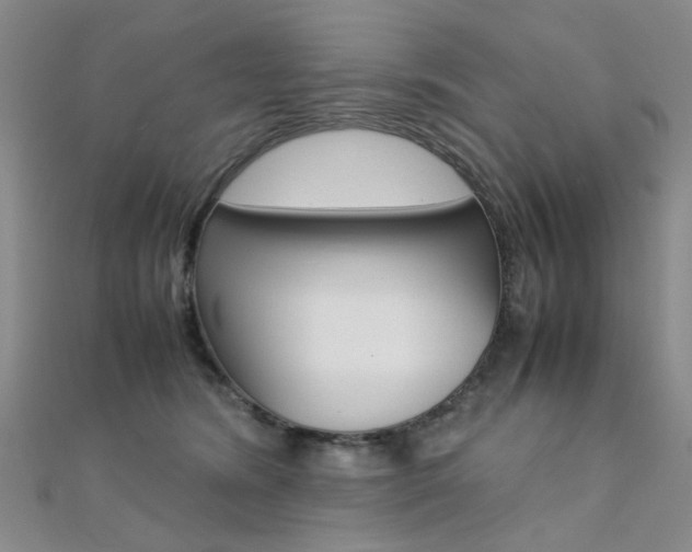 X0000112170420200908071003
