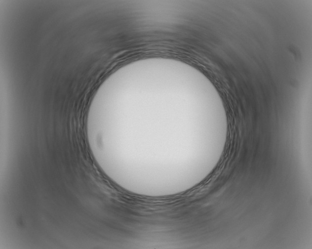 X0000112170421200908071003