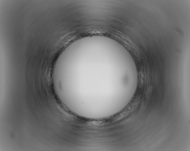 X0000112170422200908071003