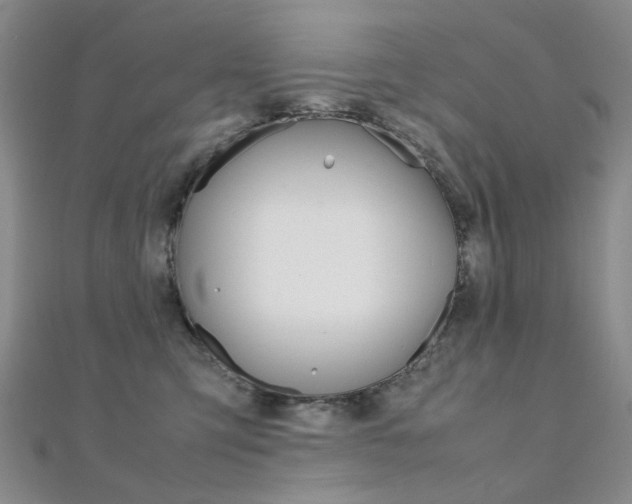 X0000112170423200908071003