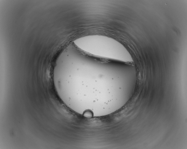X0000112170424200908071003