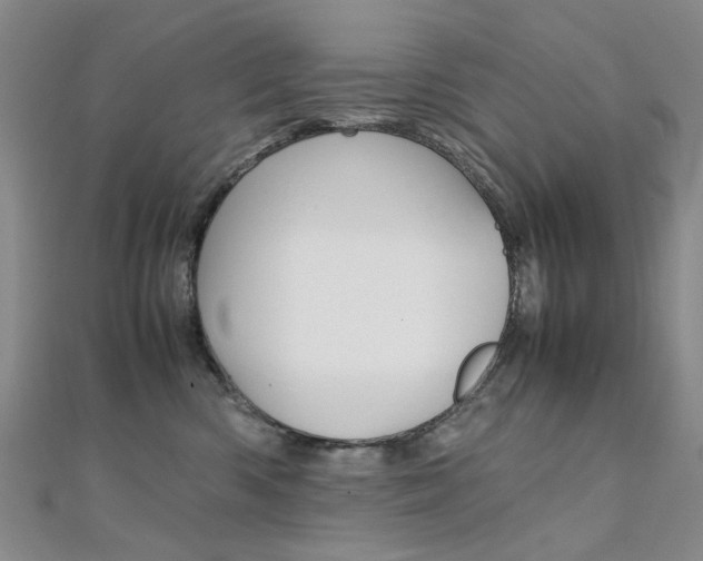 X0000112170426200908071003