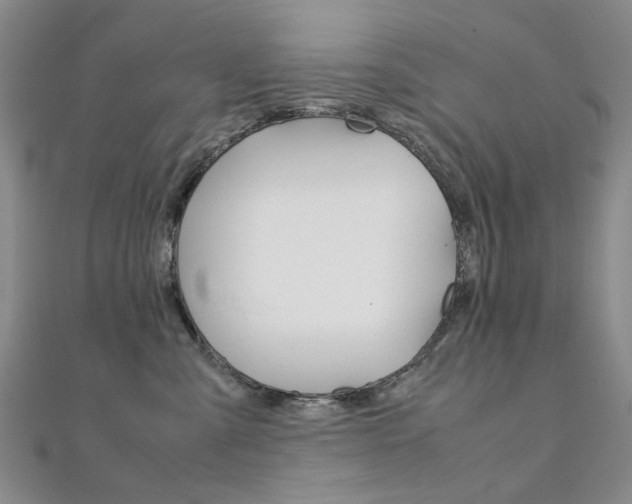 X0000112170427200908071003