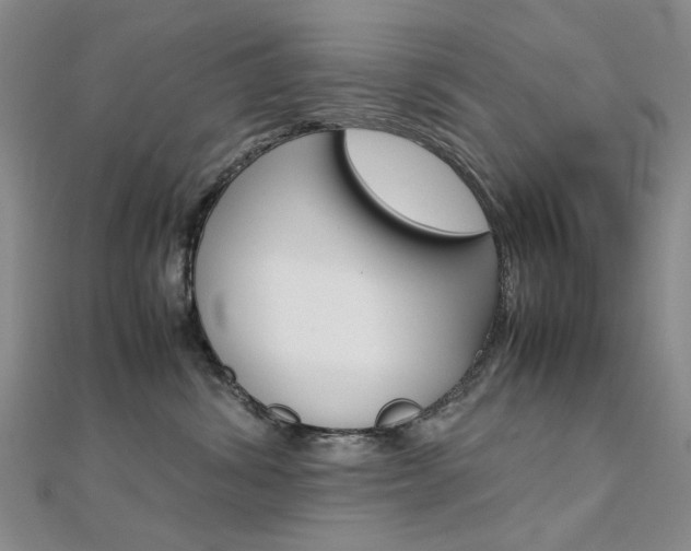 X0000112170428200908071003